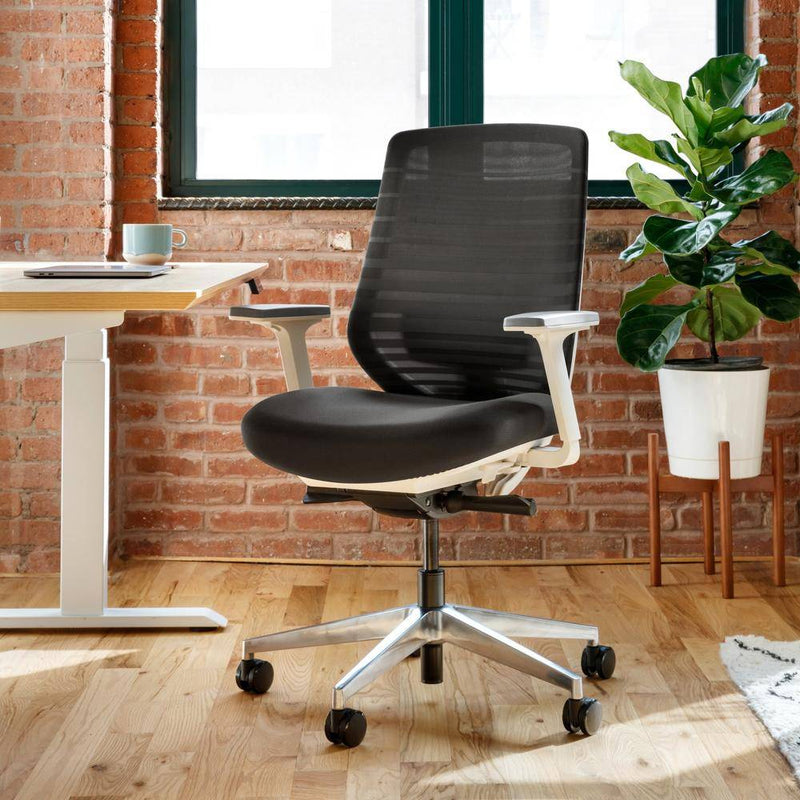 Studies Confirm the Benefits of Ergonomic Office Chairs: Proper Seating Can  Improve Health and Productivity