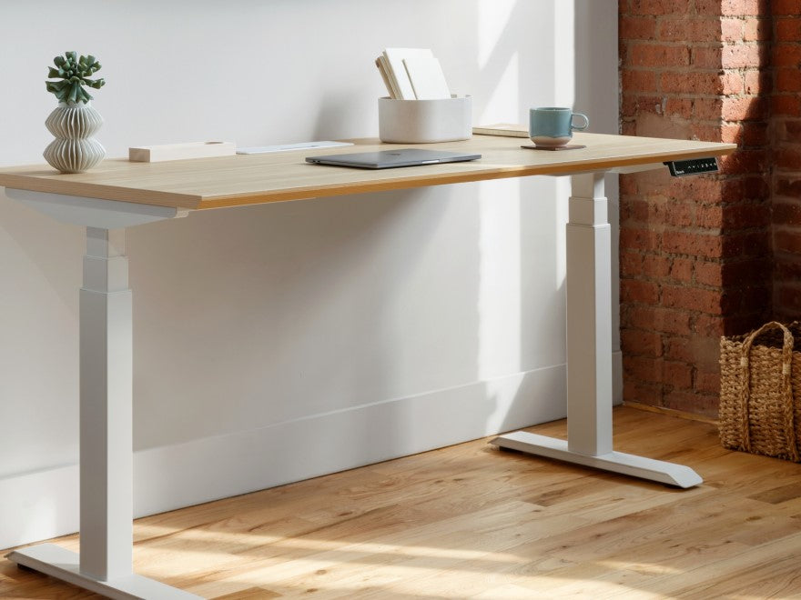 12 Best Adjustable Standing Desks For 2024