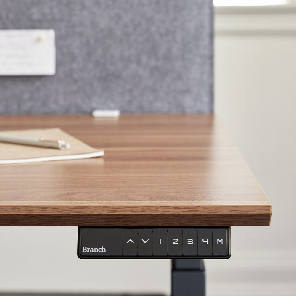 Adjustable Executive Standing Desk