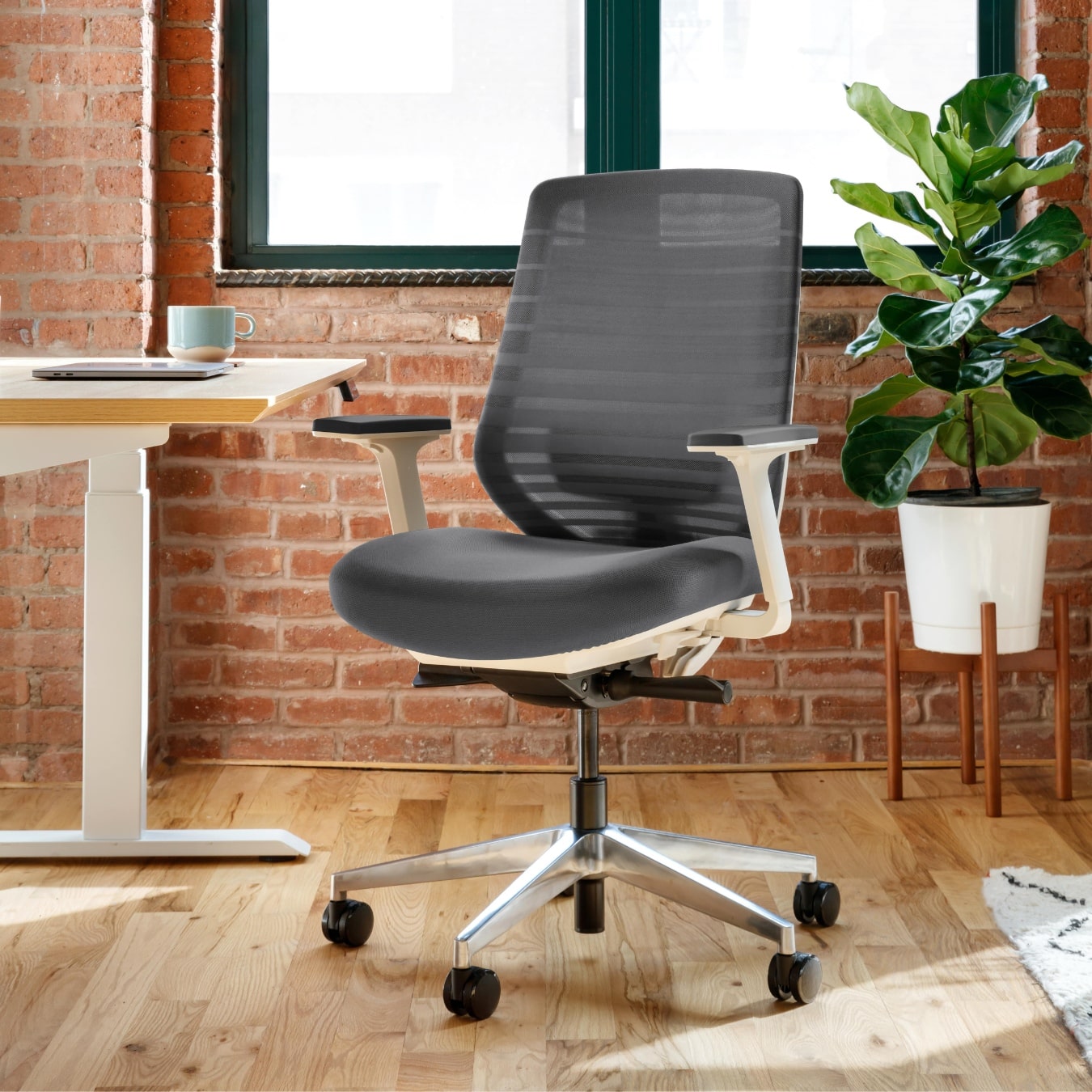 Specialist best sale office chairs